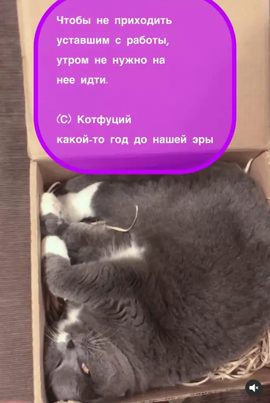 Посмеялся сам - поделись с другом!!!