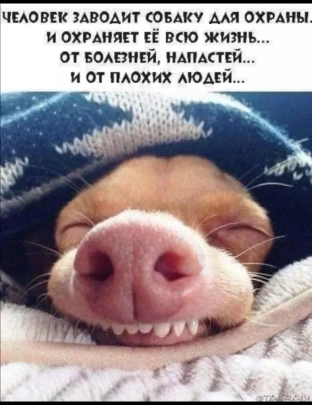 Посмеялся сам - поделись с другом!!!
