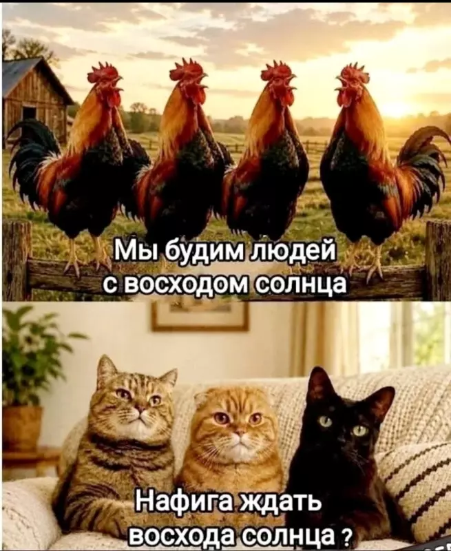 Посмеялся сам - поделись с другом!!!