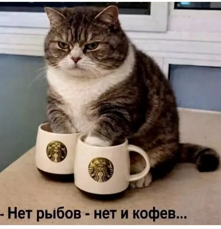 Посмеялся сам - поделись с другом!!!