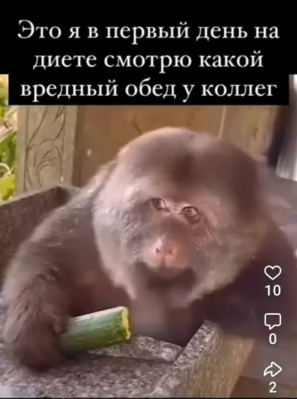 Посмеялся сам - поделись с другом!!!
