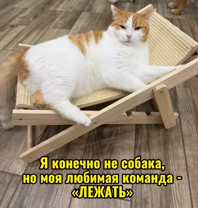 Посмеялся сам - поделись с другом!!!