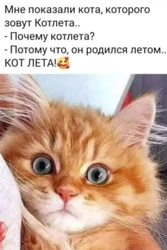 Посмеялся сам - поделись с другом!!!