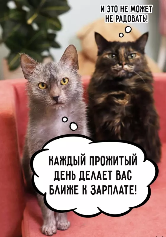 Посмеялся сам - поделись с другом!!!