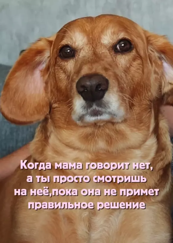 Посмеялся сам - поделись с другом!!!