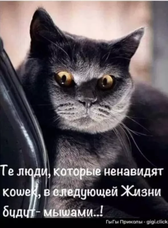 Посмеялся сам - поделись с другом!!!