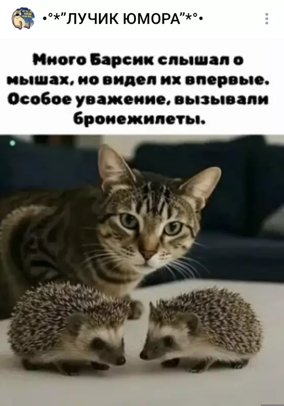 Посмеялся сам - поделись с другом!!!