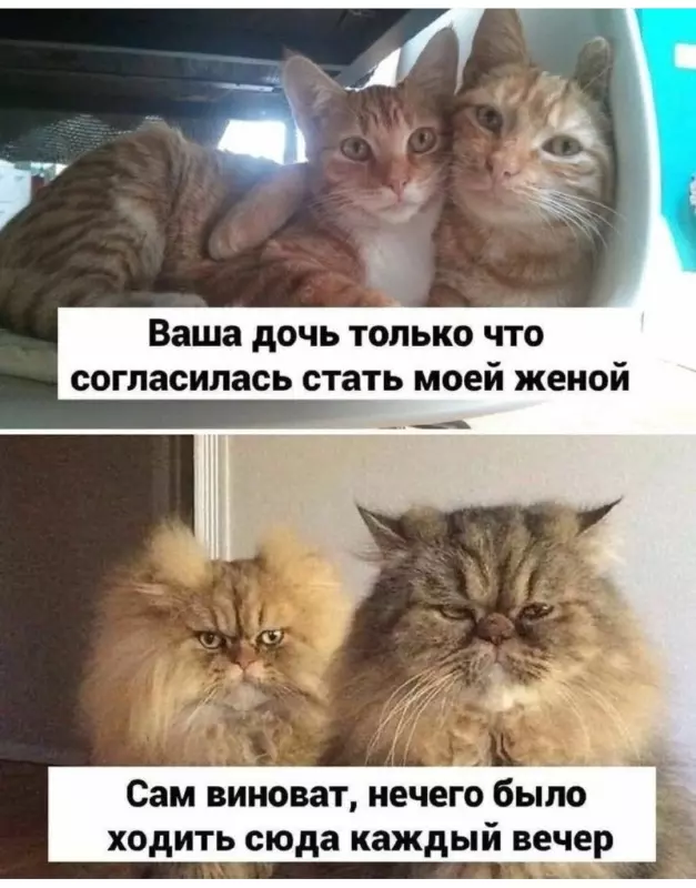Посмеялся сам - поделись с другом!!!