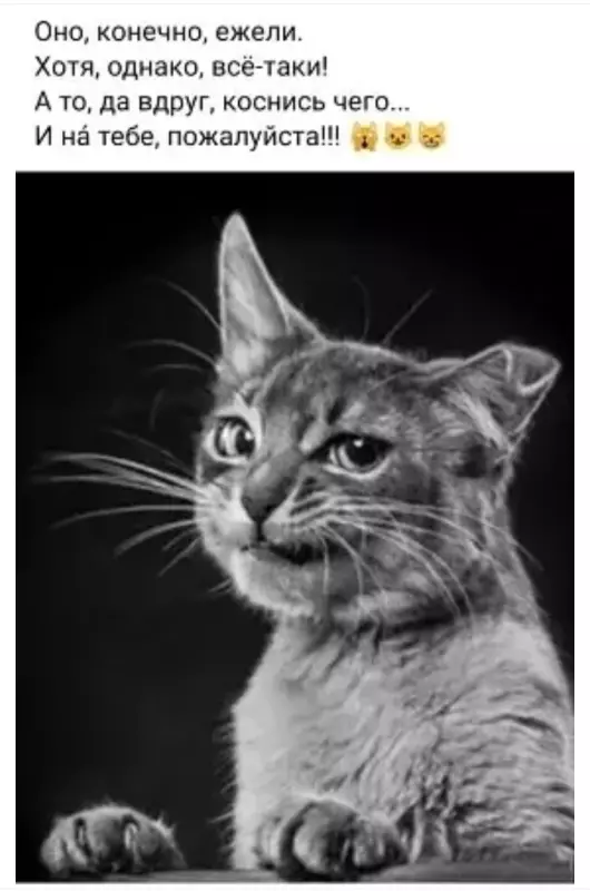 Посмеялся сам - поделись с другом!!!