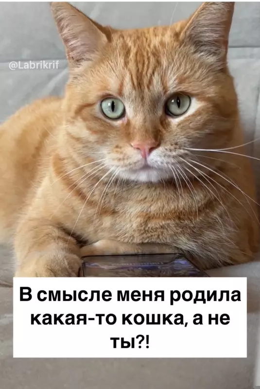 Посмеялся сам - поделись с другом!!!