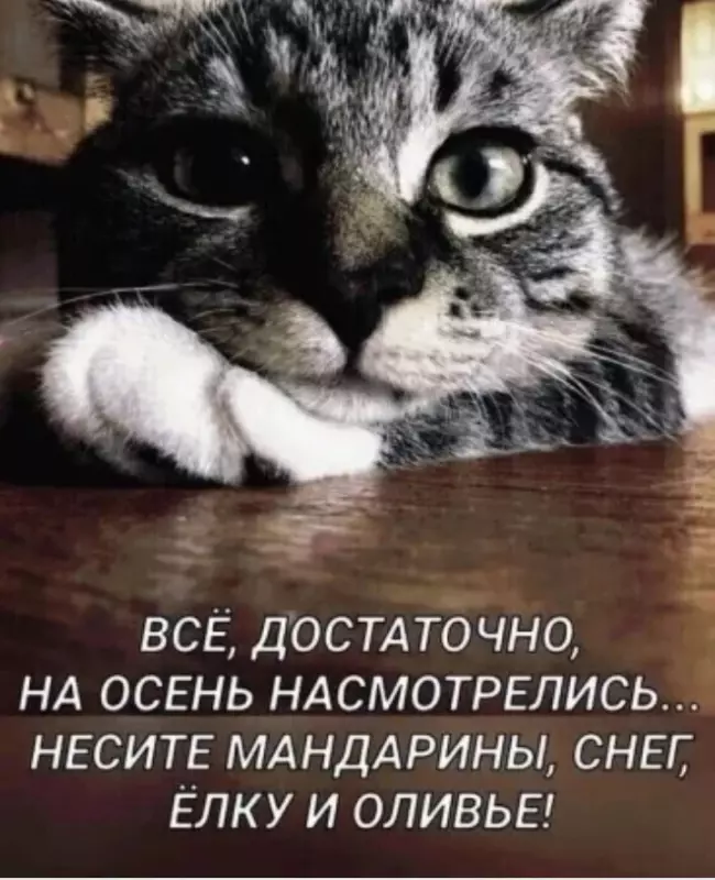 Посмеялся сам - поделись с другом!!!