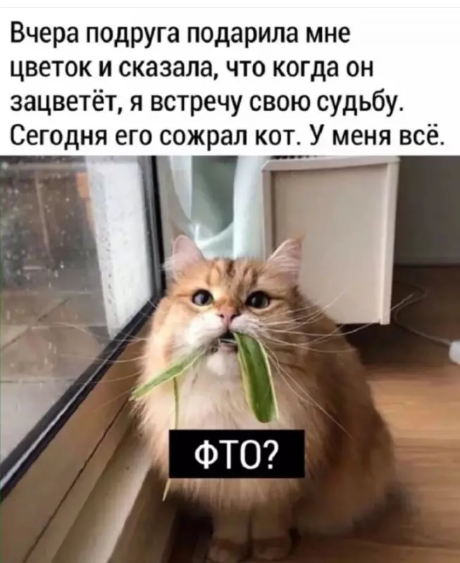 Посмеялся сам - поделись с другом!!!