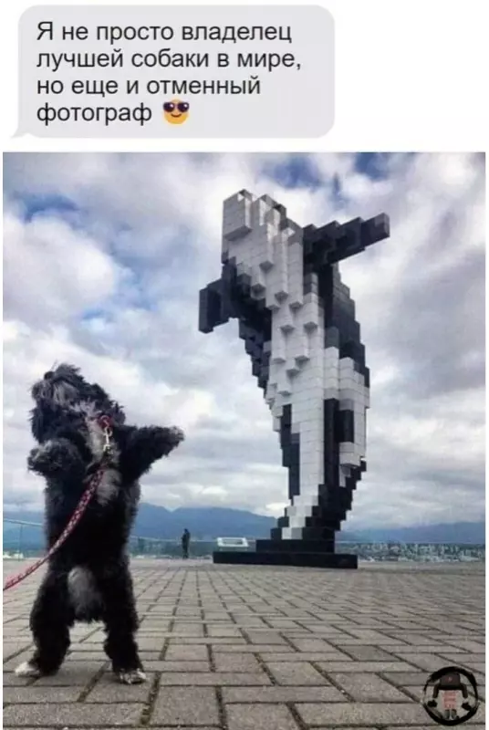 Посмеялся сам - поделись с другом!!!