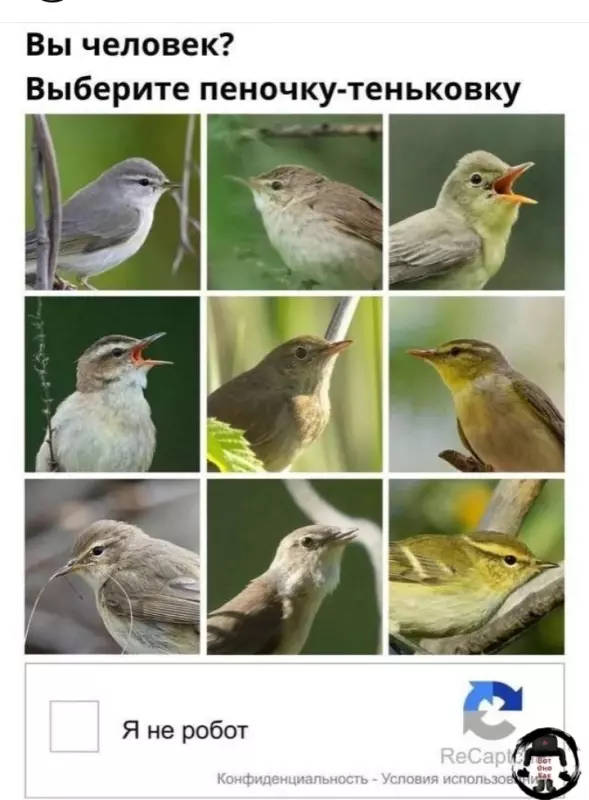 Посмеялся сам - поделись с другом!!!