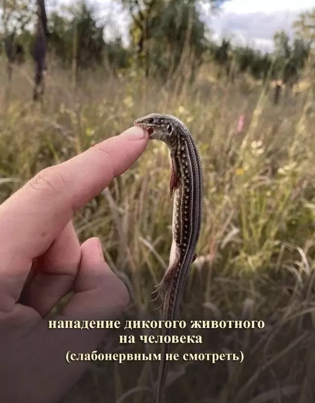 Посмеялся сам - поделись с другом!!!