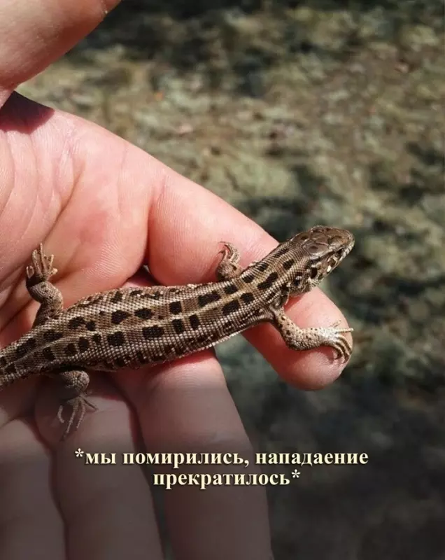 Посмеялся сам - поделись с другом!!!