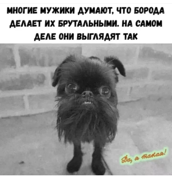 Посмеялся сам - поделись с другом!!!