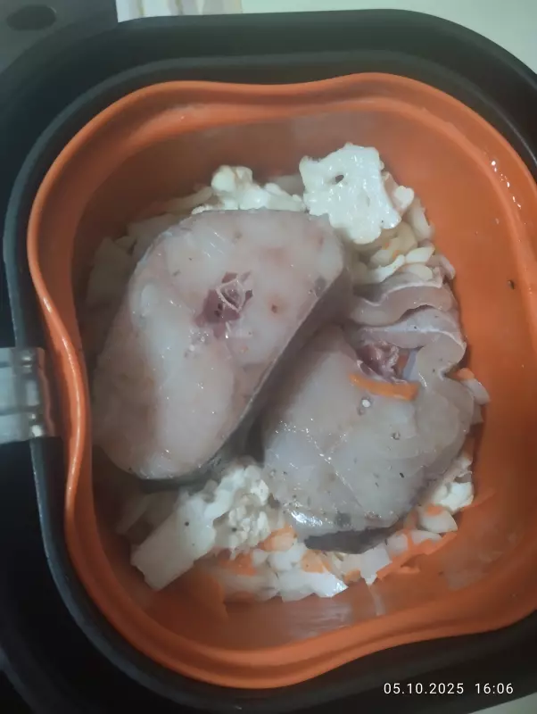 Аэрогриль: выбор модели, советы, отзывы (2)