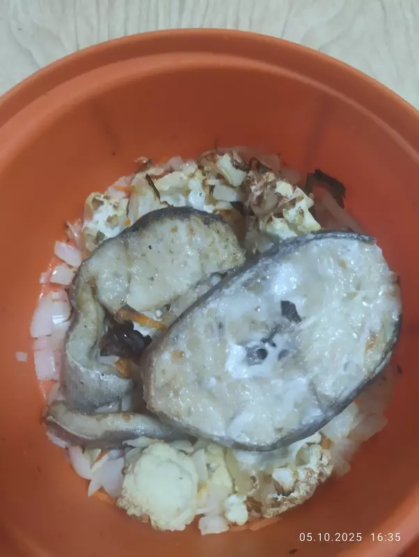 Аэрогриль: выбор модели, советы, отзывы (2)