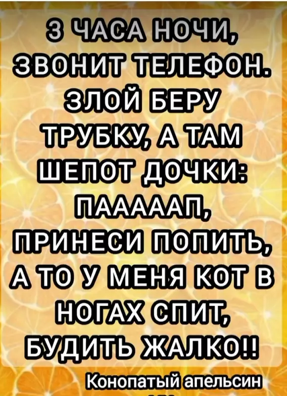 Позитивчик (фото, видео, рассказы для хорошего настроения)