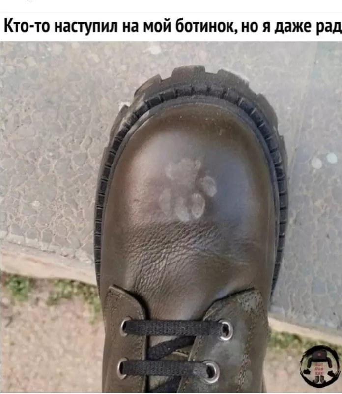 Позитивчик (фото, видео, рассказы для хорошего настроения)