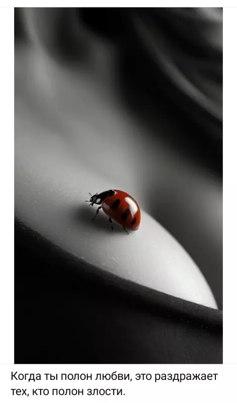 Позитивчик (фото, видео, рассказы для хорошего настроения)