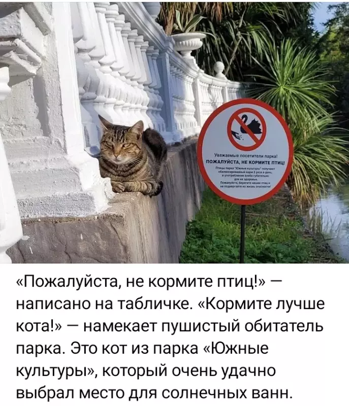 Позитивчик (фото, видео, рассказы для хорошего настроения)