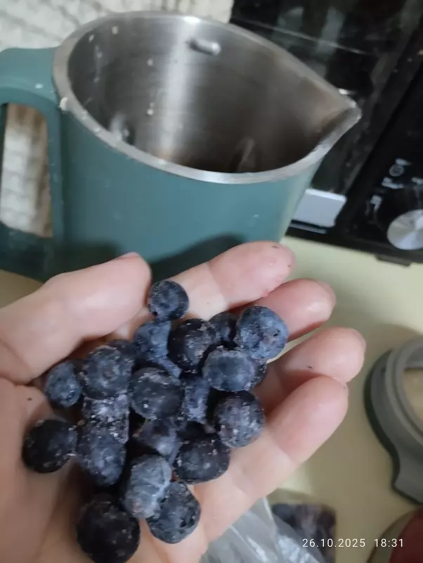 Соевая корова (аппарат для получения соевого молока, soy milk maker)