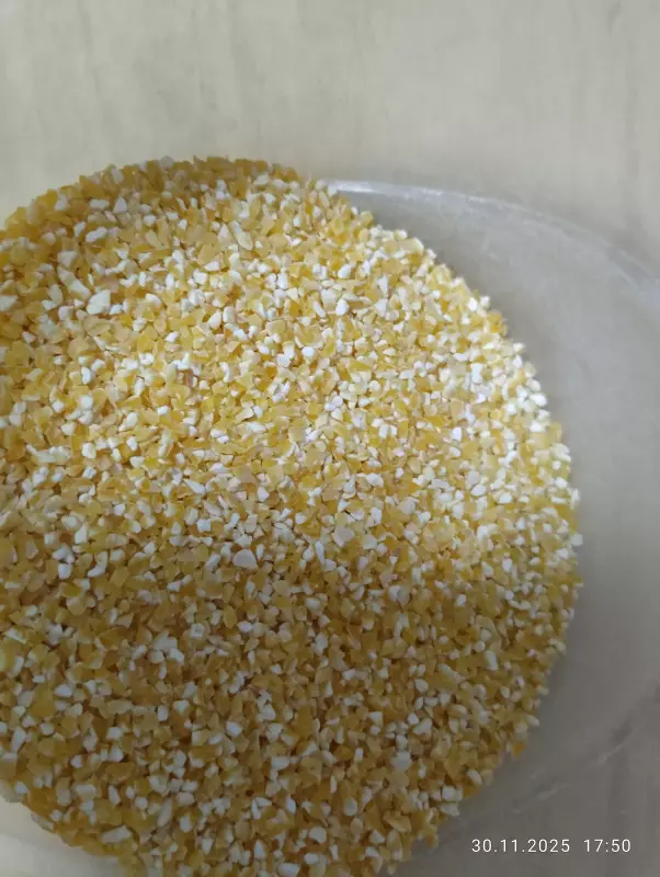 Соевая корова (аппарат для получения соевого молока, soy milk maker)