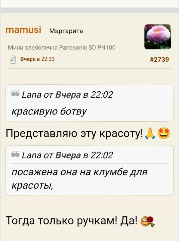 Кафе "У пани Сони"