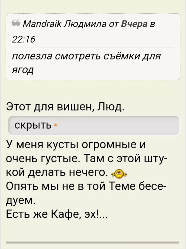 Кафе "У пани Сони"