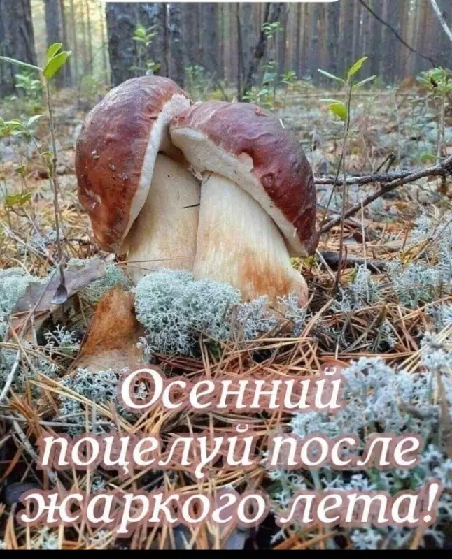 Кафе "У пани Сони"