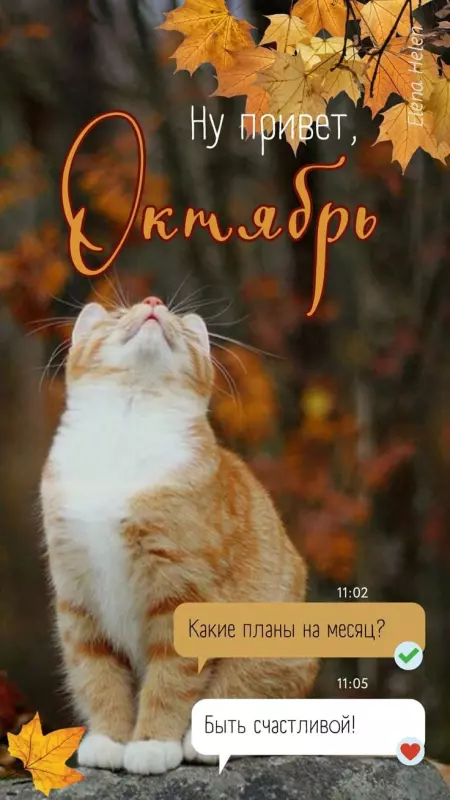 Кафе "У пани Сони"