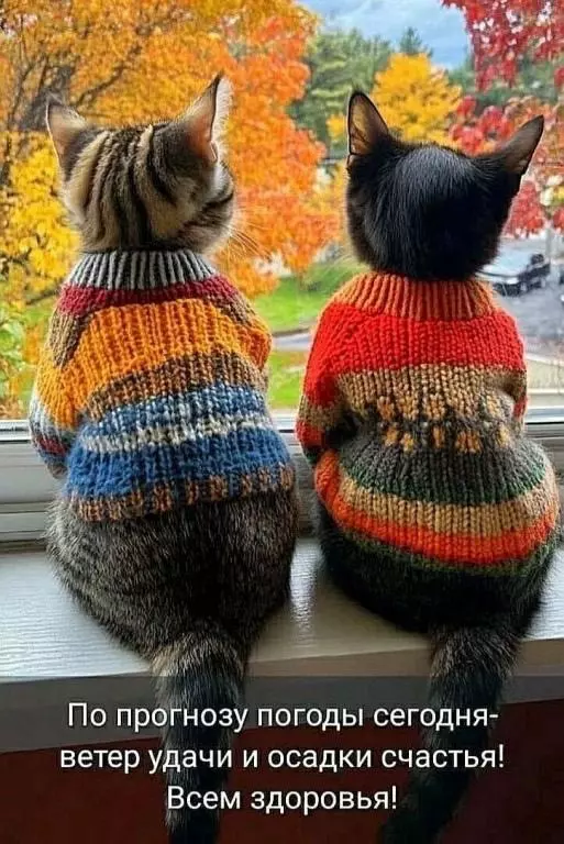 Кафе "У пани Сони"