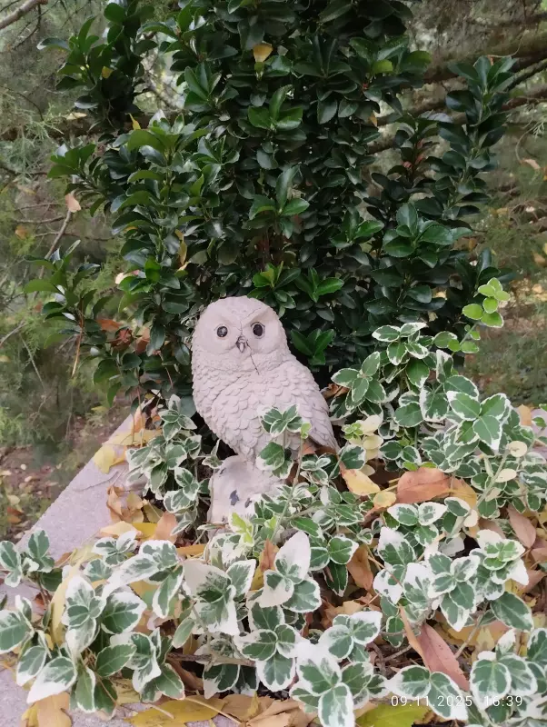 Кафе "У пани Сони"