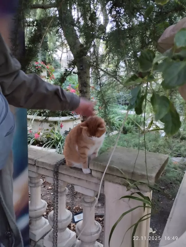 Кафе "У пани Сони"