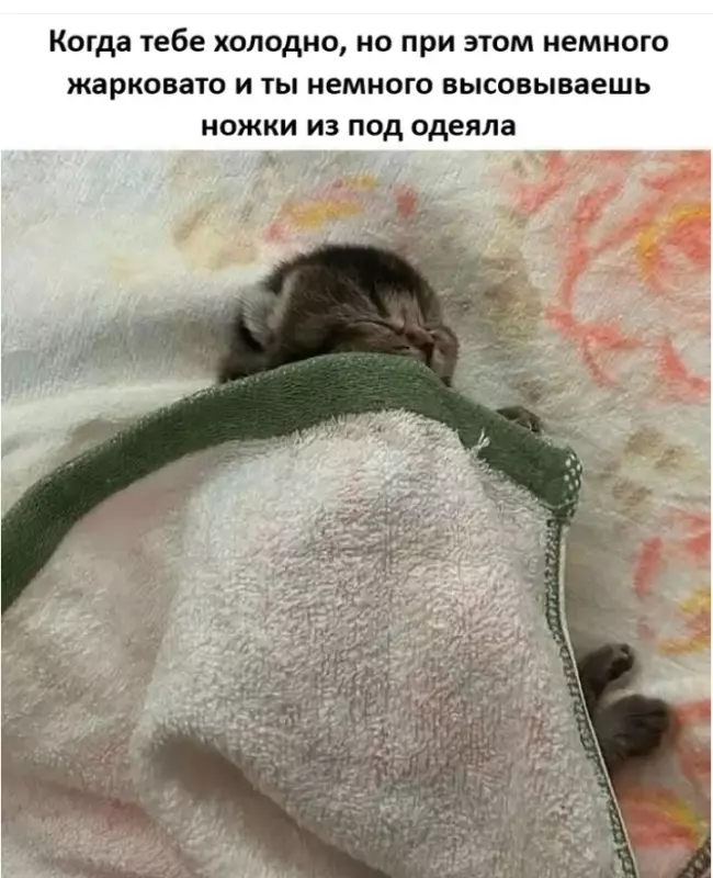 Кафе "У пани Сони"