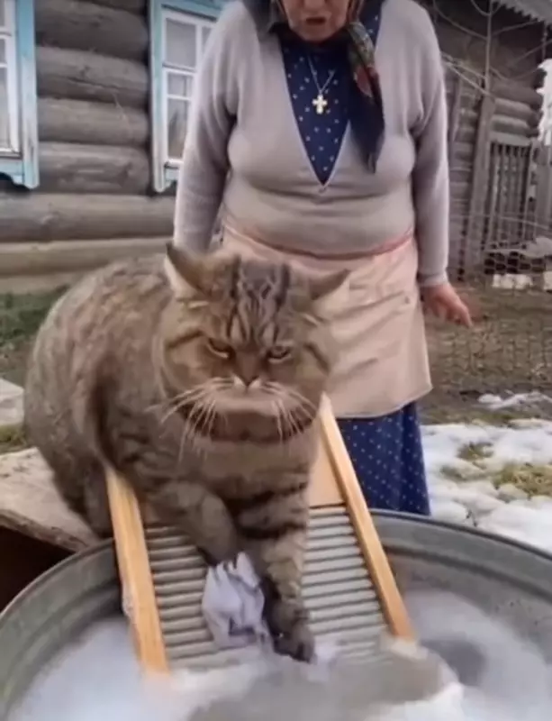 Кафе "У пани Сони"