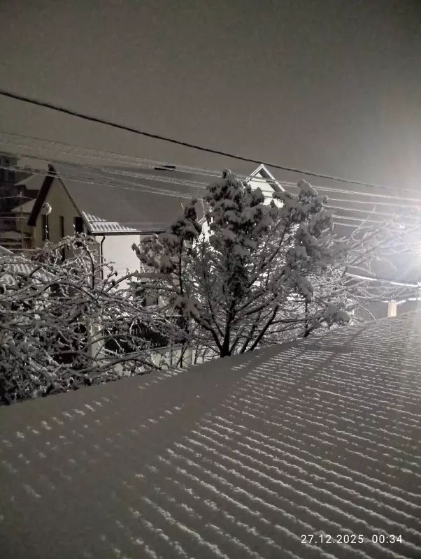 Кафе "У пани Сони"