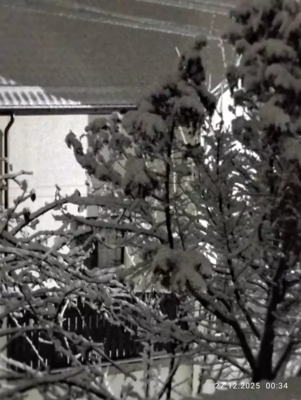 Кафе "У пани Сони"