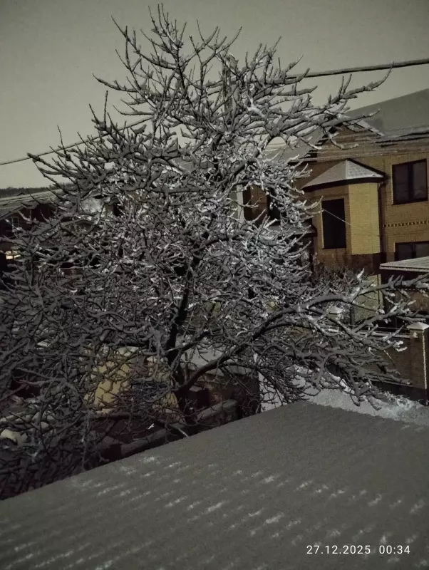 Кафе "У пани Сони"