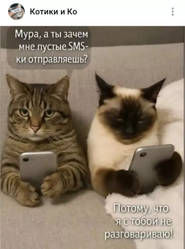 Кафе "У пани Сони"