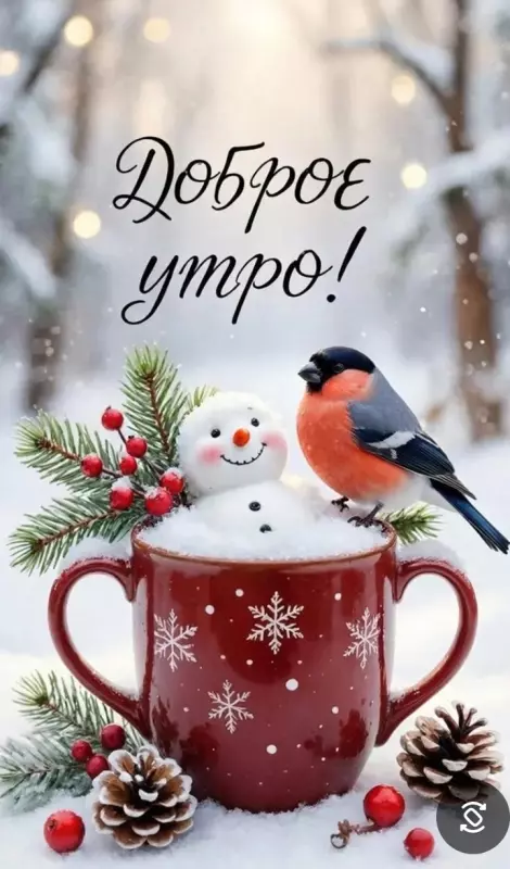 Кафе "У пани Сони"