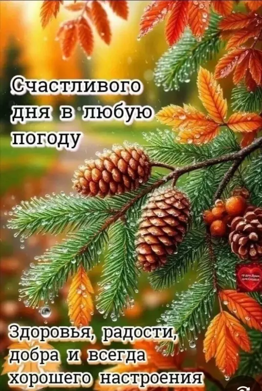 Кафе "У пани Сони"