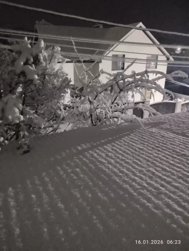 Кафе "У пани Сони"