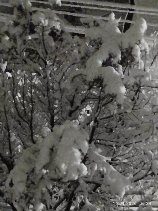 Кафе "У пани Сони"