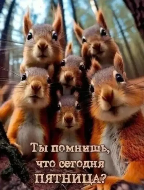 Кафе "У пани Сони"