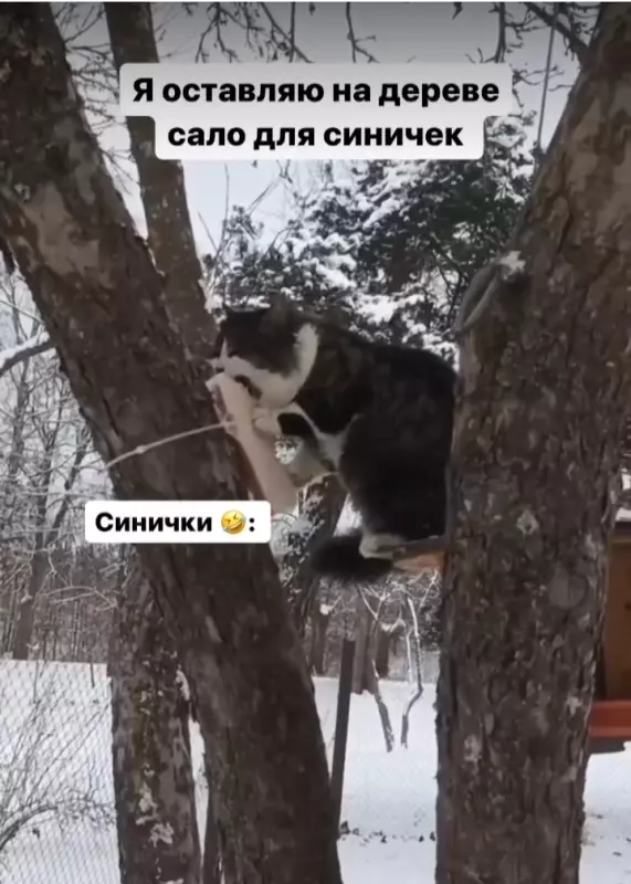 Кафе "У пани Сони"