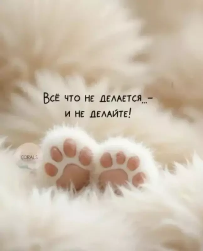 Кафе "У пани Сони"