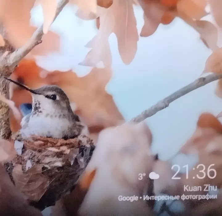 Кафе "У пани Сони"